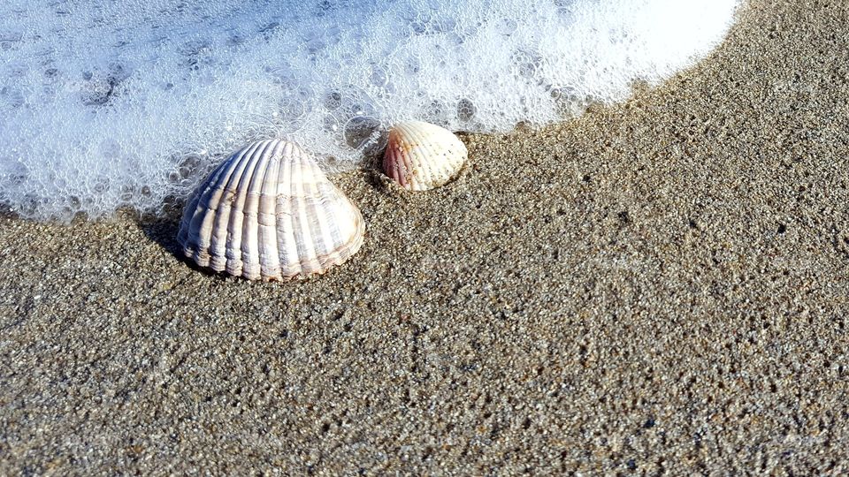 Surf near the sea shell