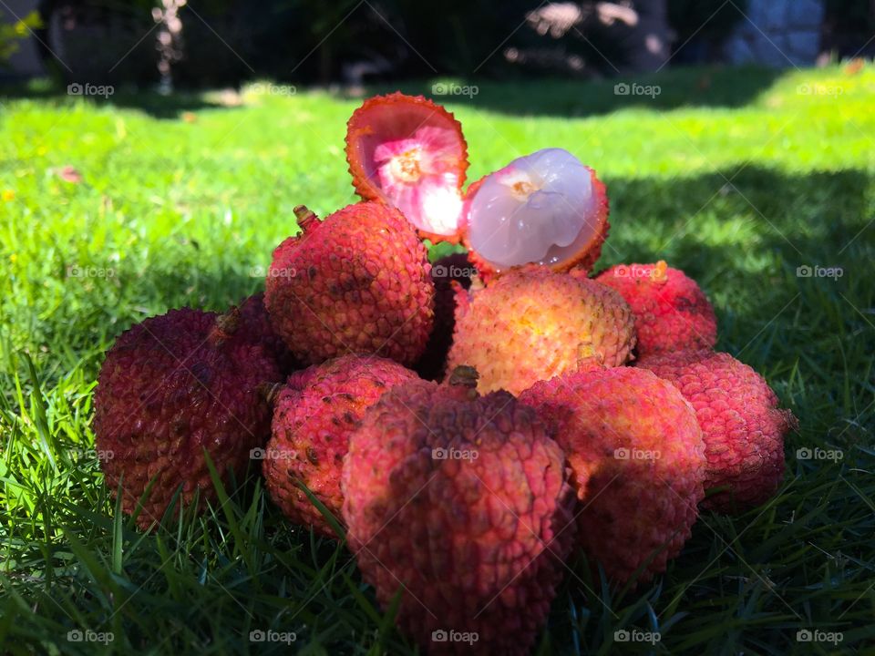 Sweet taste and delicate aroma