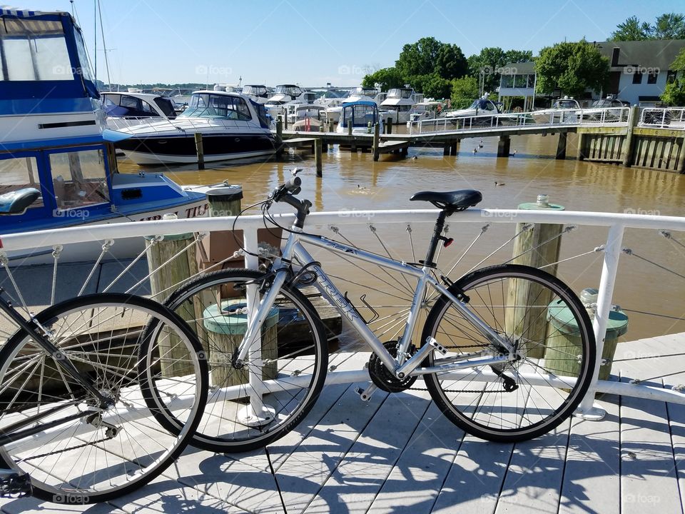 Bikes by marina