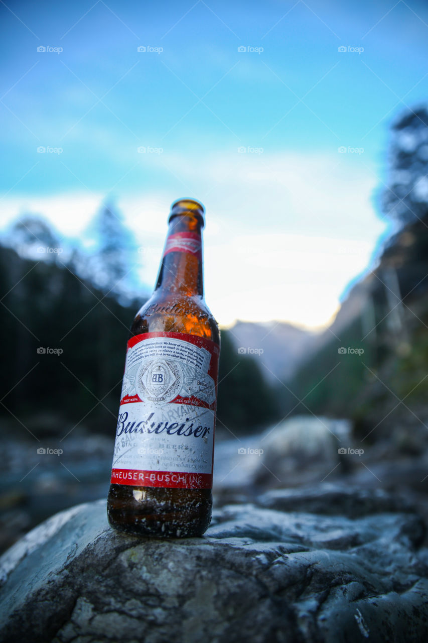 Budweiser