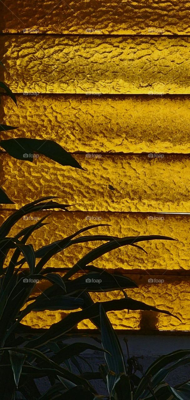 Strong, vibrant yellow glass with
branches in the foreground.
It creates a striking contrast
between nature and man-made
elements. It's beauty of the
natural world against a bold,
contemporary background.