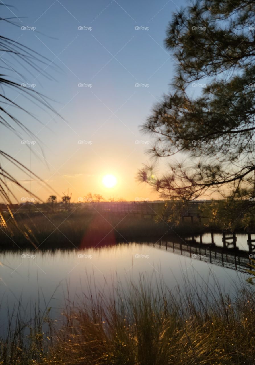 Sunset in the Florida marsh