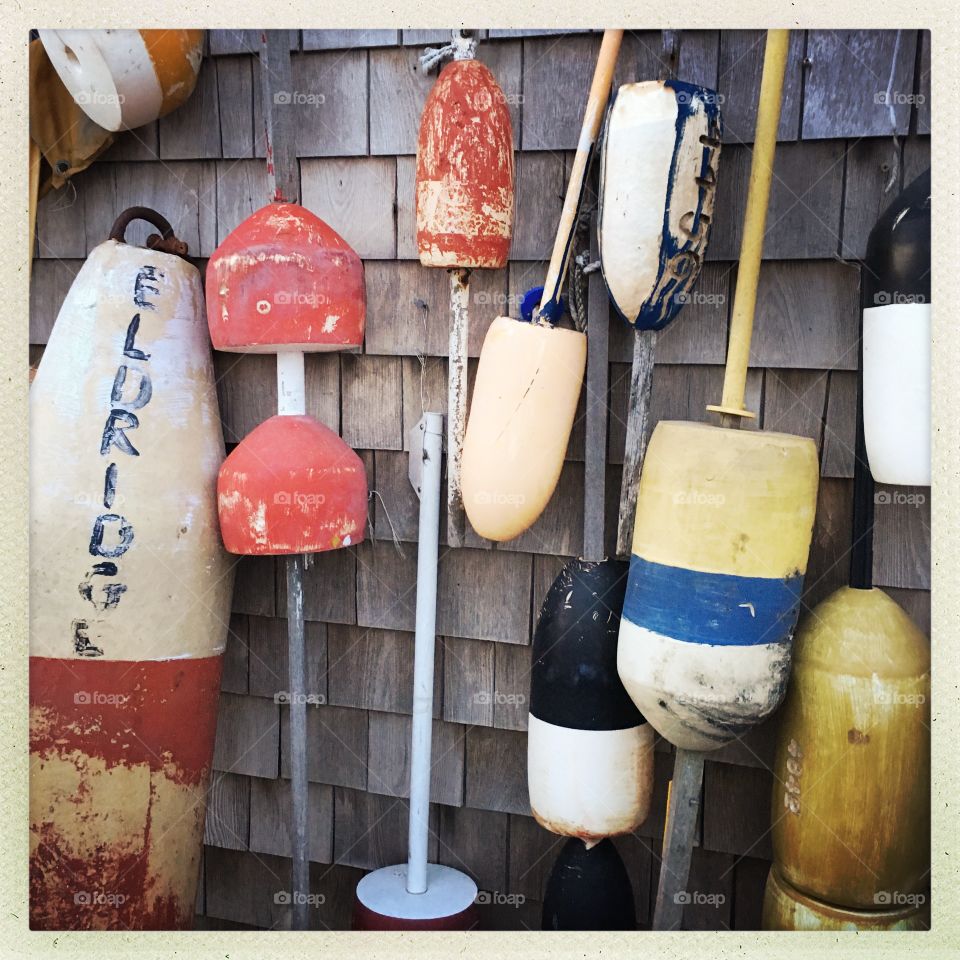 Sea floaties, Cape Cod 