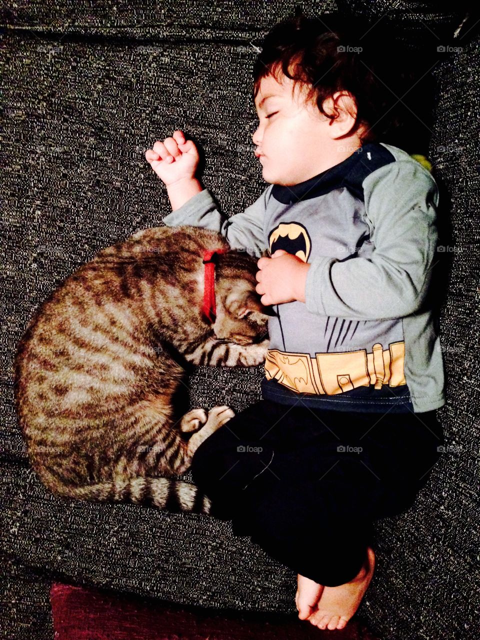 Boy sleeping with cat