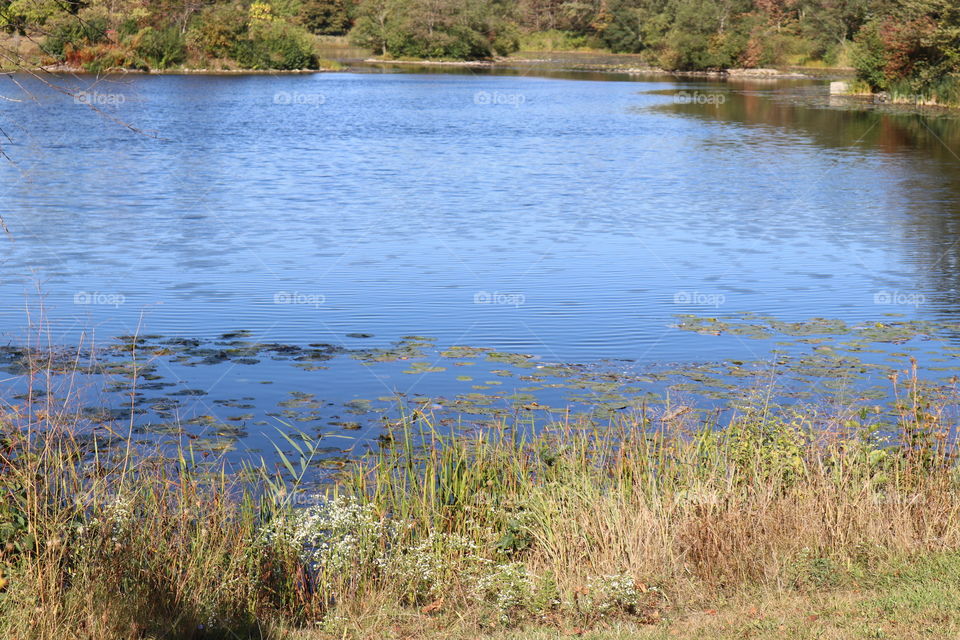 lake Katherine