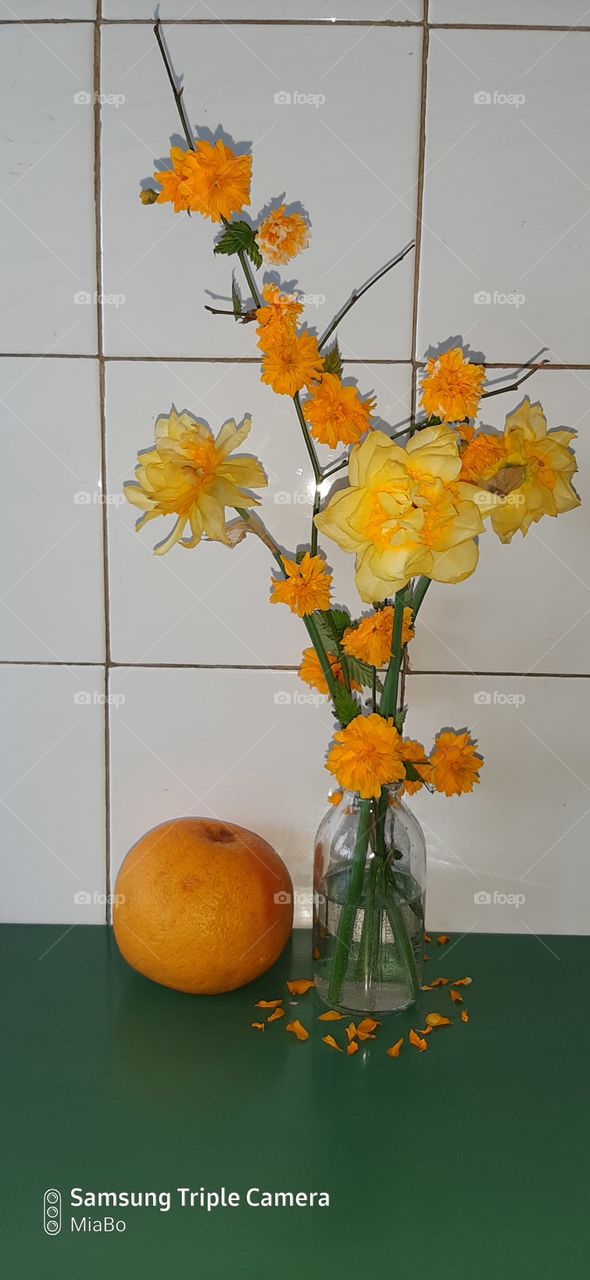 bring some flowers, fruits and color into the lab