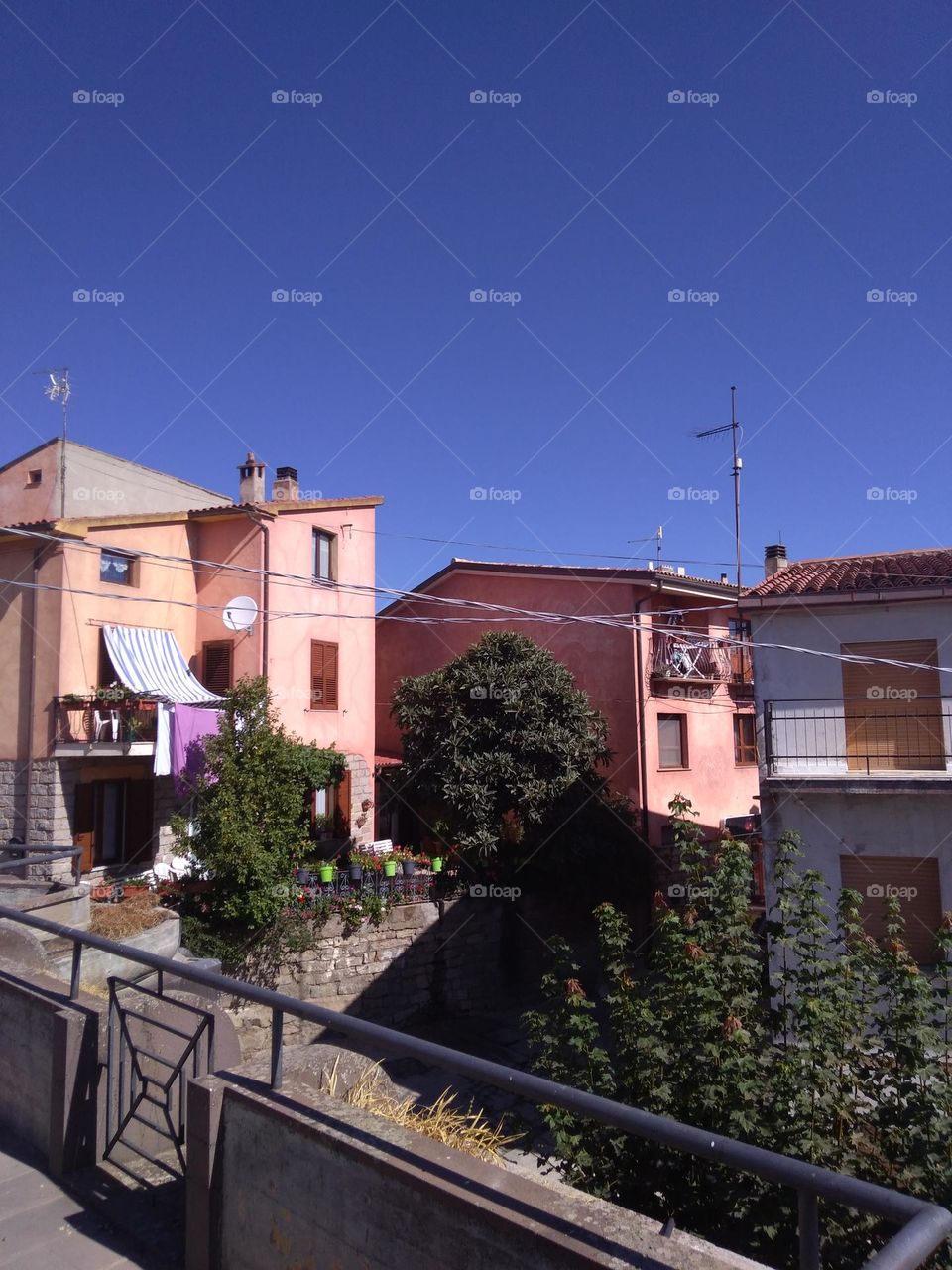 Editors' Choice: Photo of the Week