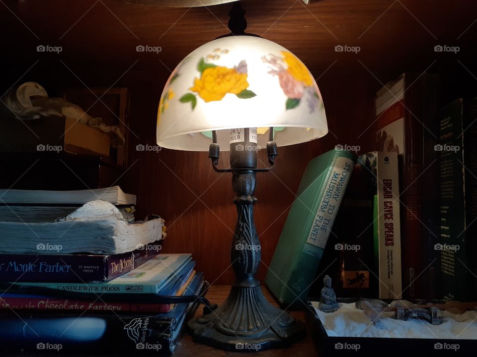 Pretty Little Lamp
