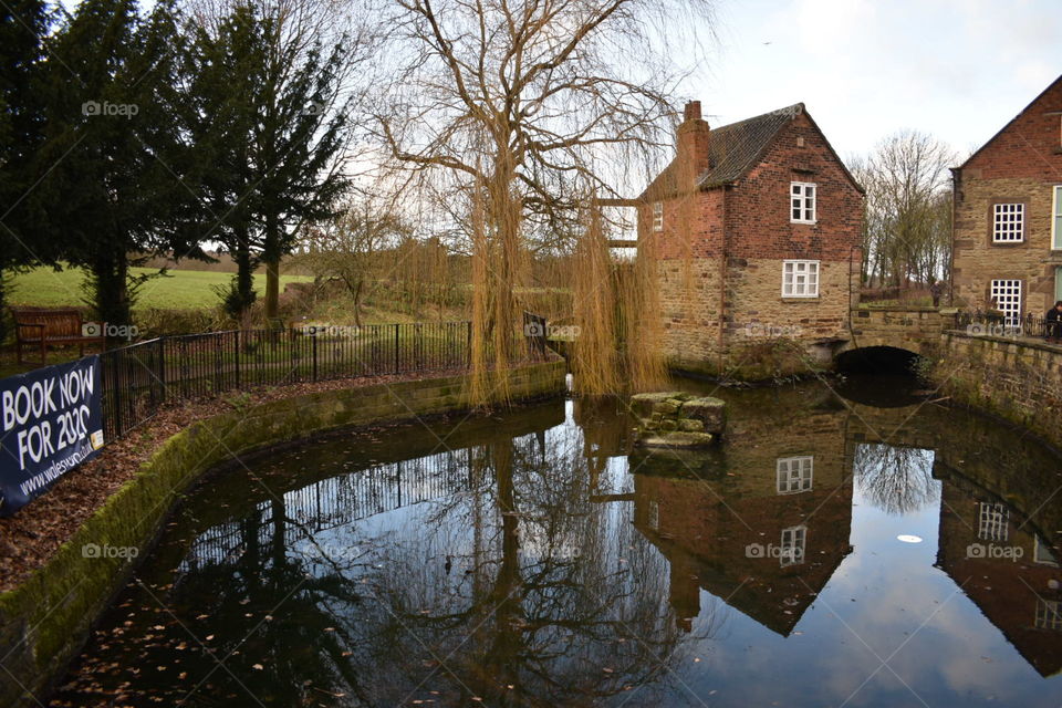 Winter house and tree reflected in water