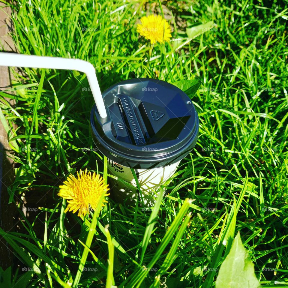 Dandelion sunny coffee