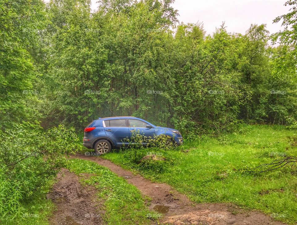 Car in the forest 