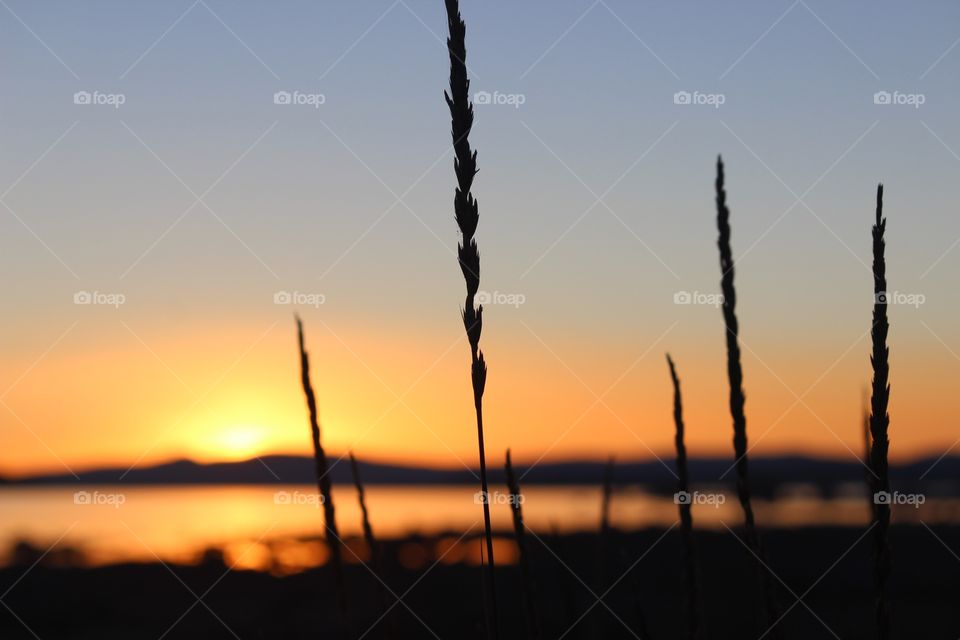 Dawn patrol to Mono Lake in California for this quiet moment