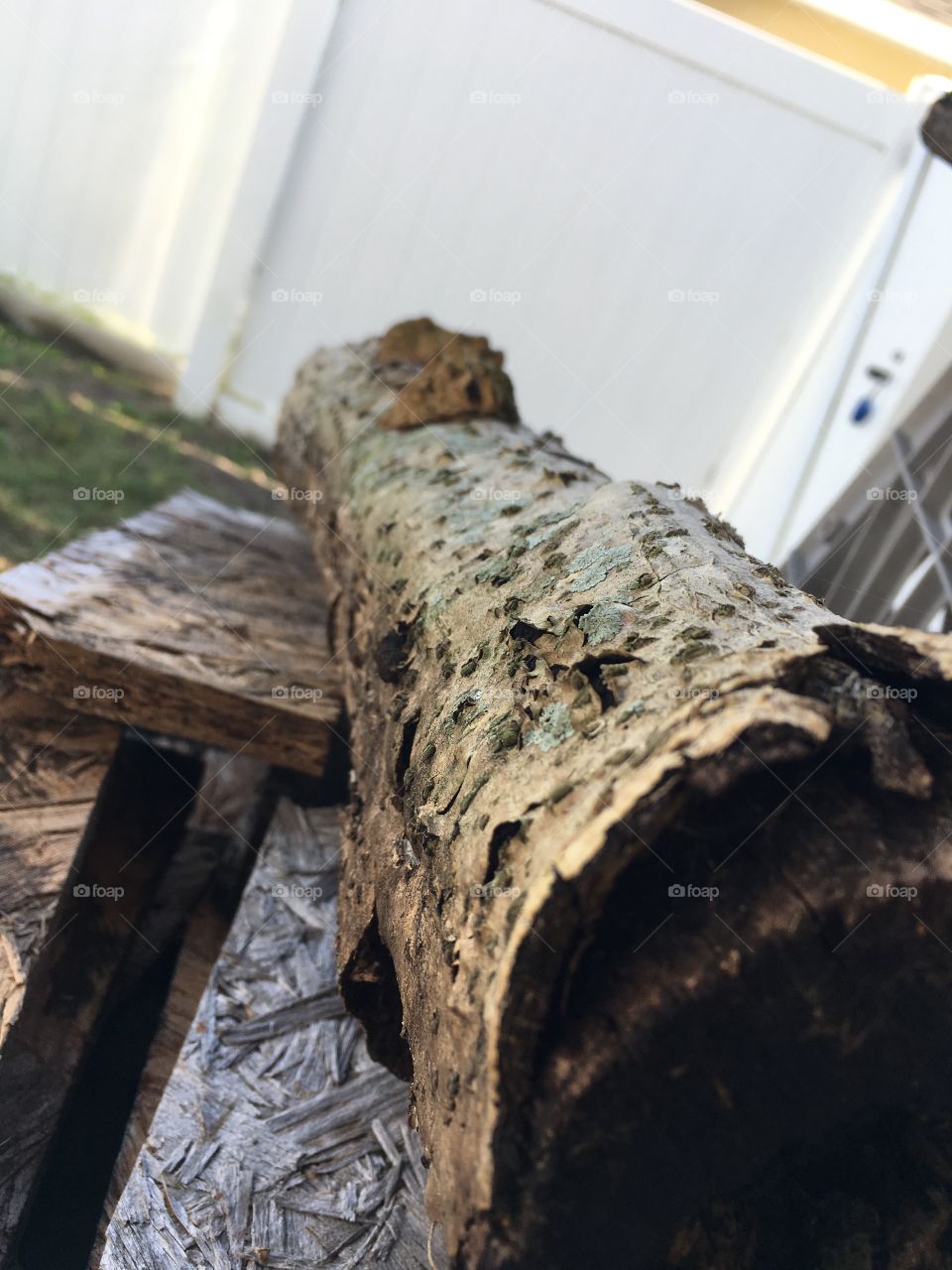 Even the strongest branches fall sometimes 