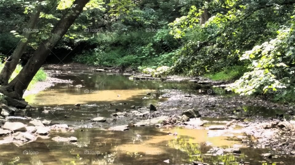 mingo creek
