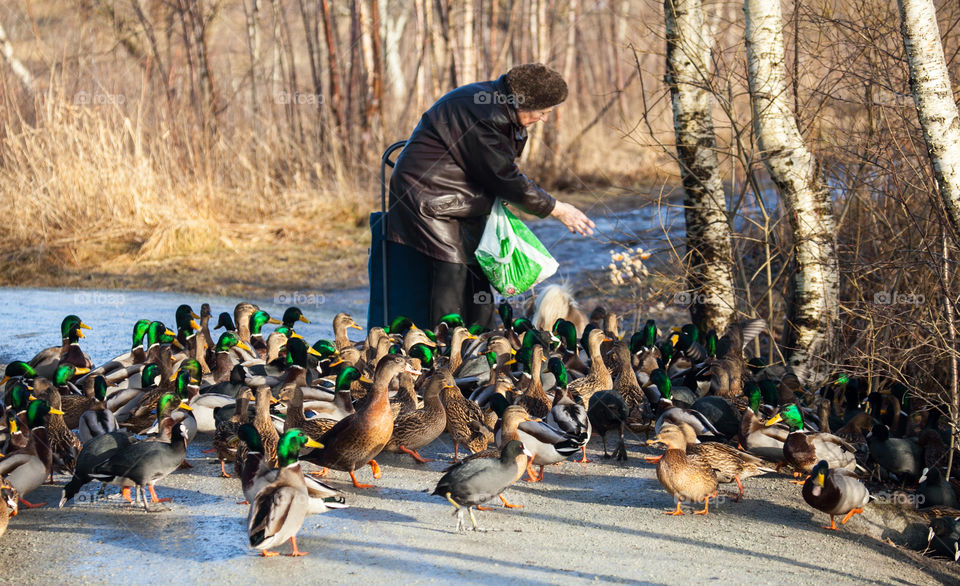 Woman feeding birds. 