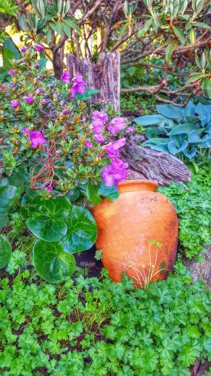 Pot in garden