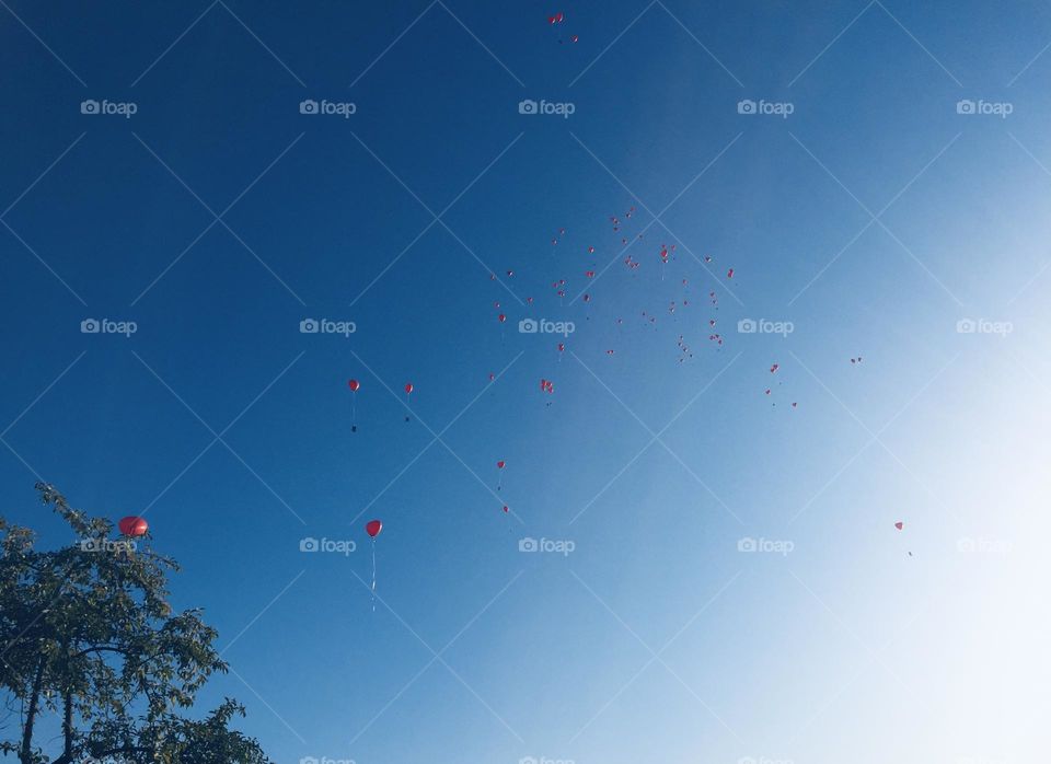 Heart-shaped helium balloons flying into the blue sky with a message attached to them.