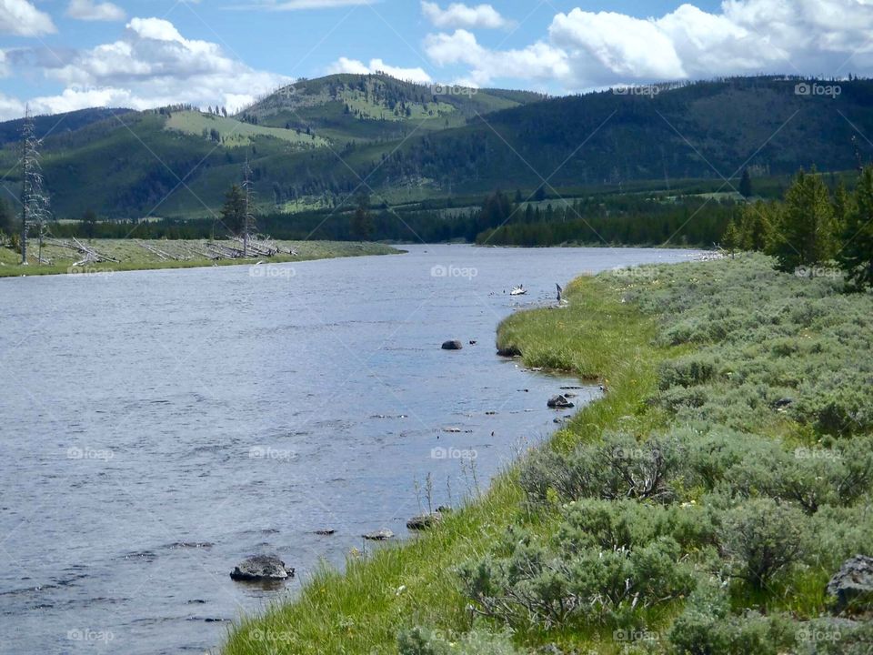 River in Wyoming