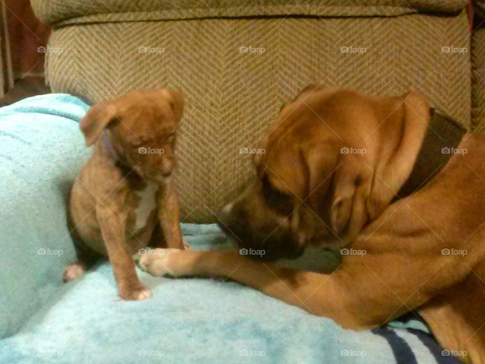 We Gotta Talk. Daddy Diesel