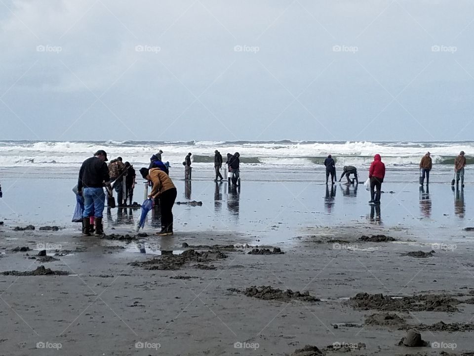 more clam digging