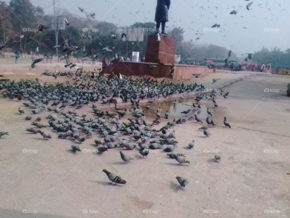 Environment, Calamity, Pollution, Water, Seashore