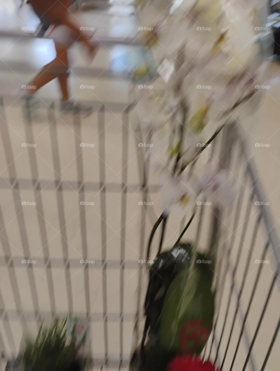 A cor branca, branco ou alvo é a junção de todas as cores  do espectro de luz visível. É a cor que reflete todos os raios luminosos, não absorvendo nenhum e por isso aparecendo como clareza máxima