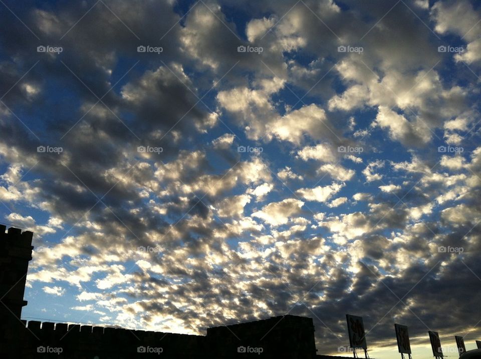 like fish skin amazing