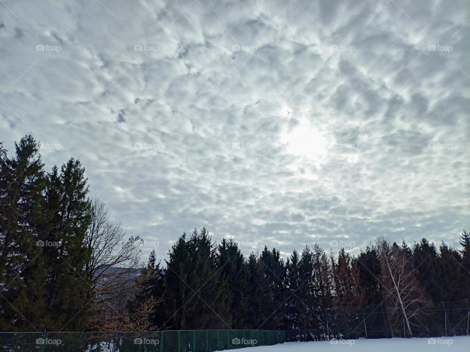White cloud on the winter