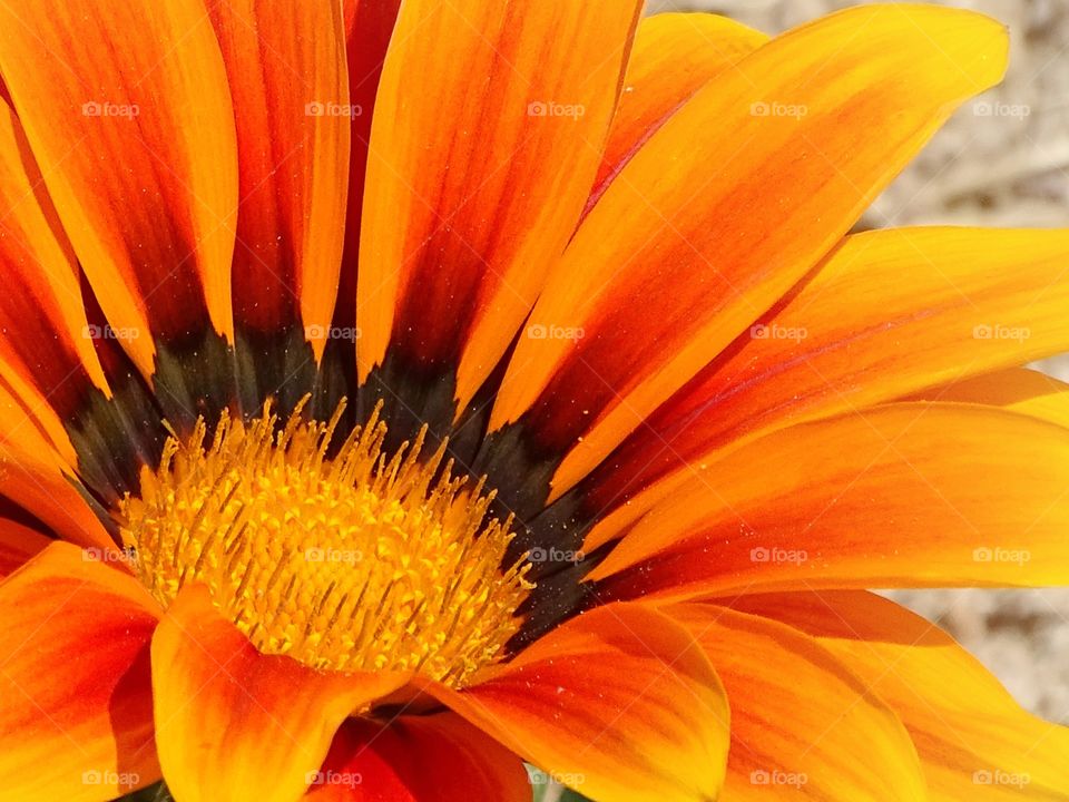 Things are better appreciated up close