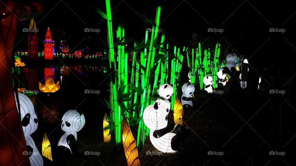 Chinese Lanterns Panda And Bamboo