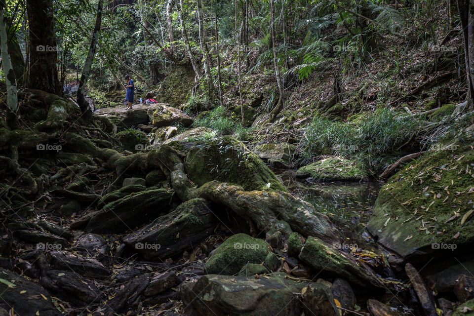 Tourist girl in the forest 