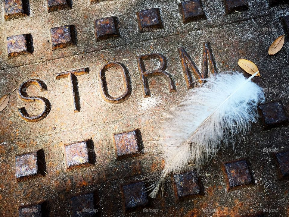 Close-up of storm text