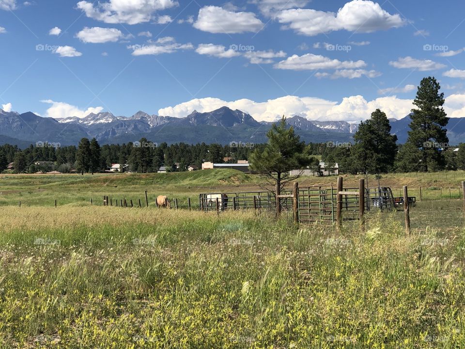 Horse ranch with mountain backdrop