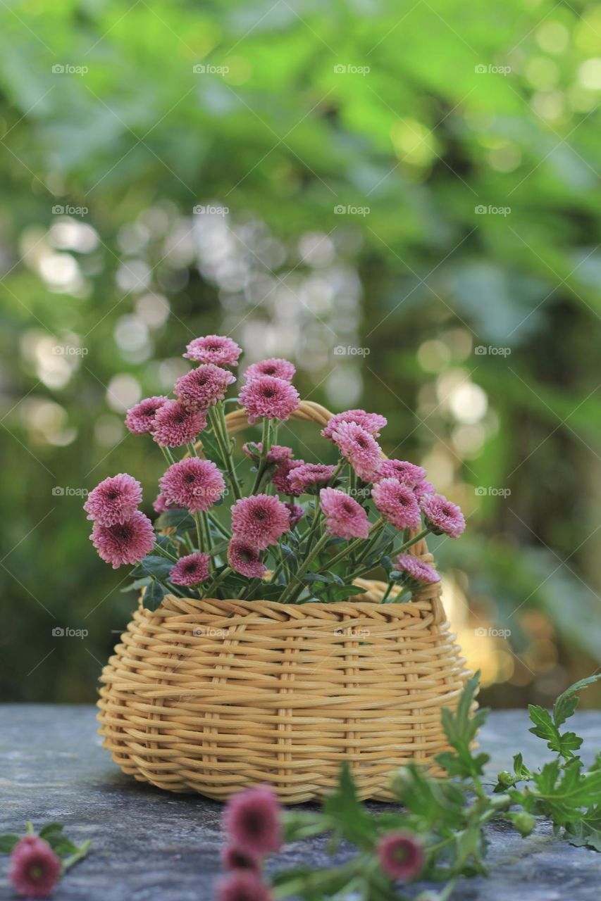 Pink flowers in a rattan vase on hand