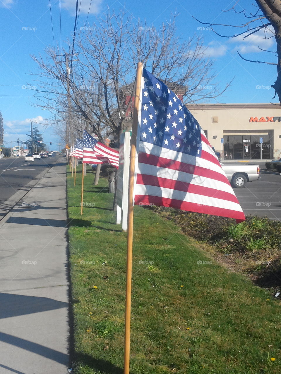 Row of flags