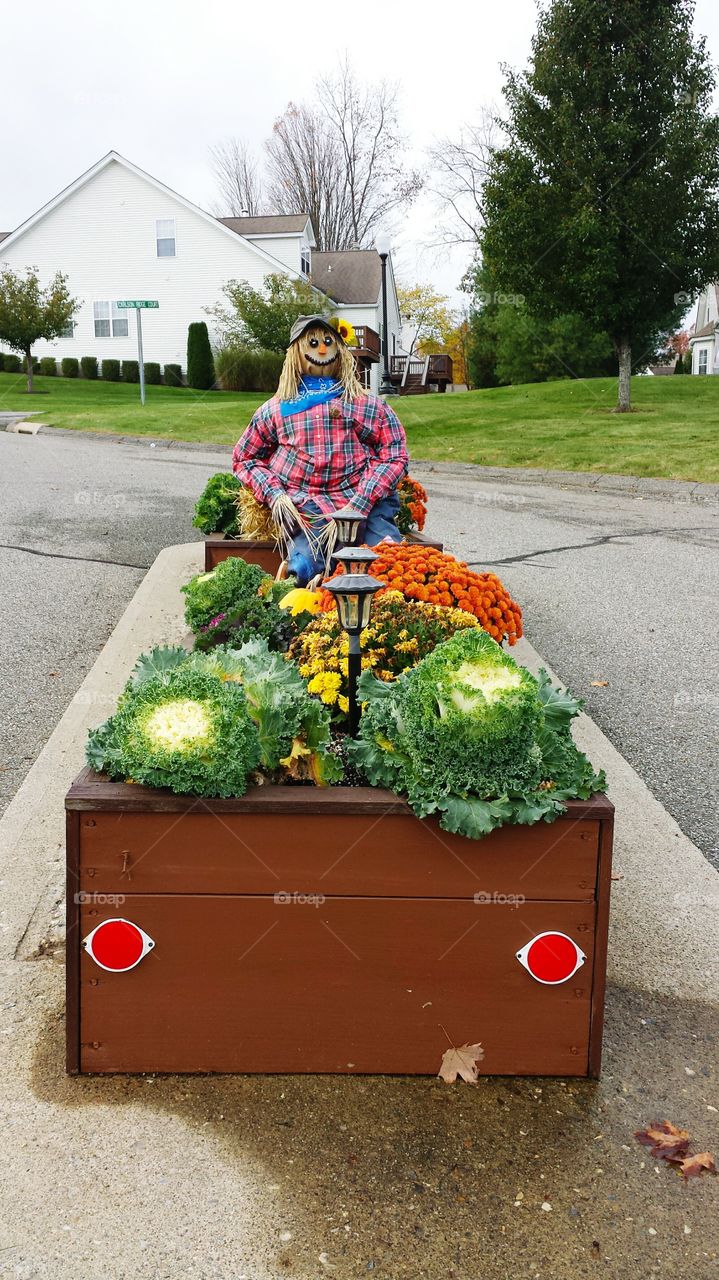 CELEBRATING HALLOWEEN.