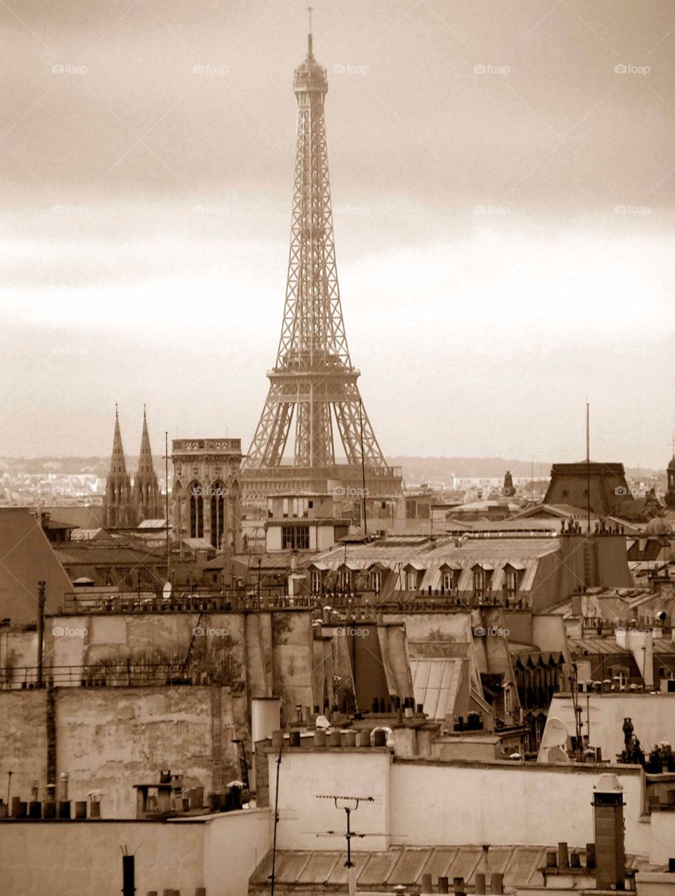 Paris rooftops. Paris rooftops and Eiffel Tower
