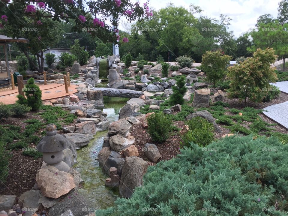 Rock garden 