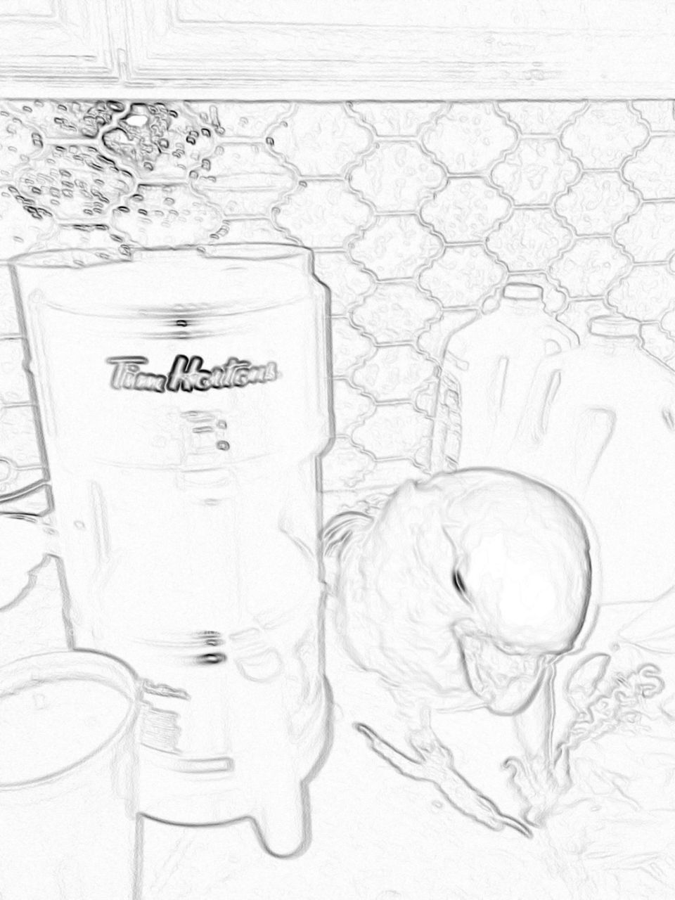 Sketch - cockatoo and Coffee 