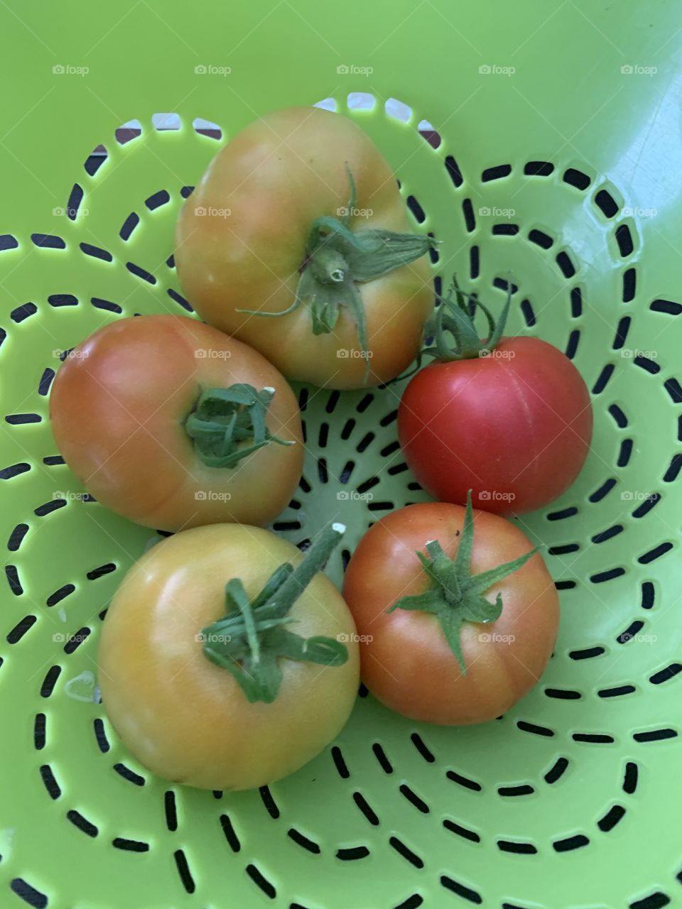 Home grown tomatoes 