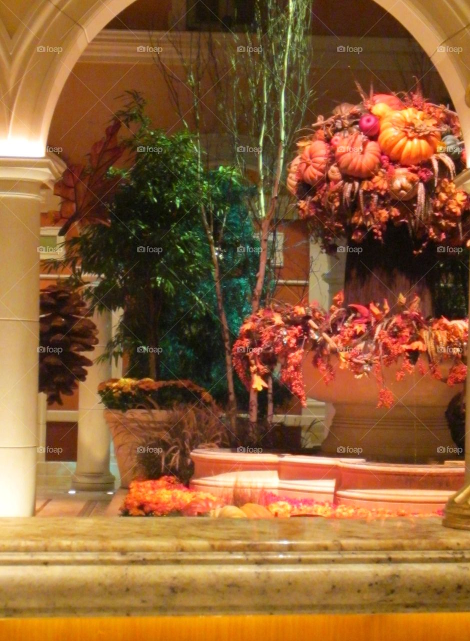 Fall Pumpkins, Flowers and Trees Display.  Autumn Colors.