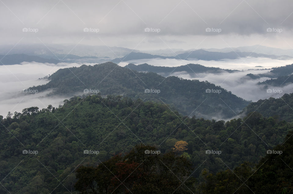 Sea of mist on the mountain.