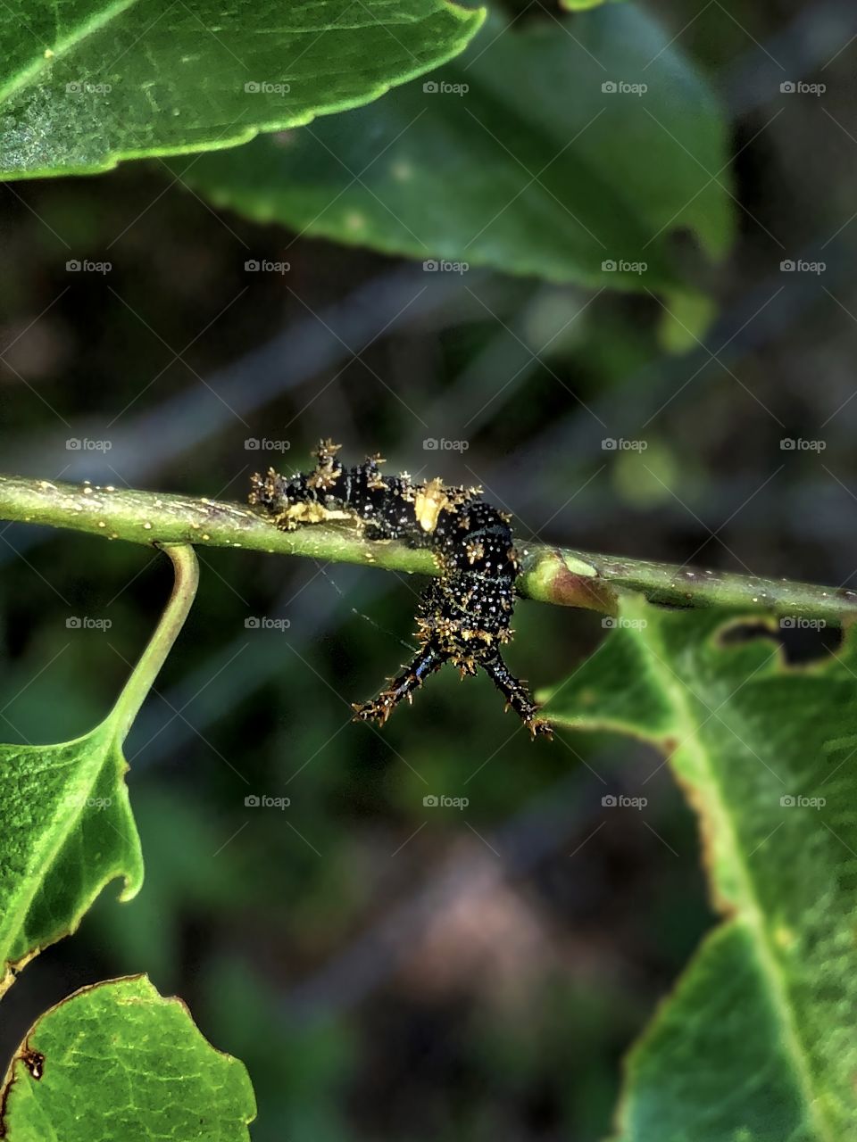 Hangin Around