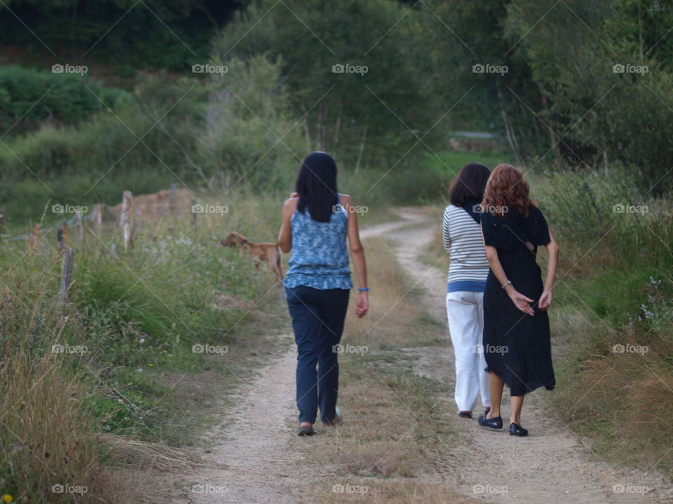 Paseo por el campo? 