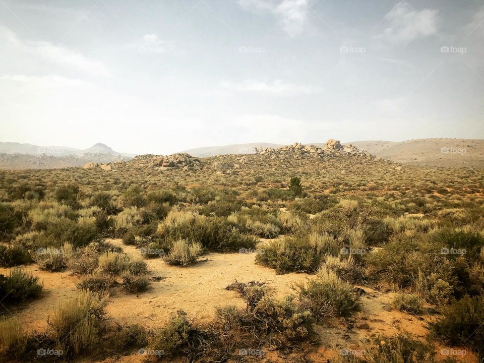 A moody warm desert landscape brings to mind westerns of old