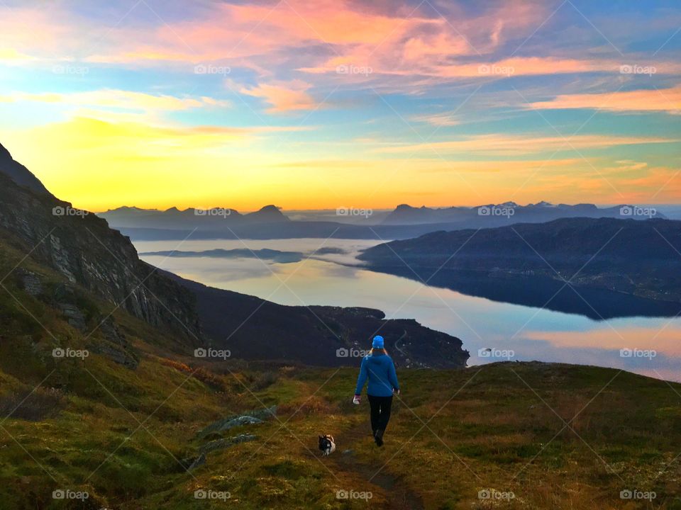 Mountain hiking with chihuahuas in Narvik