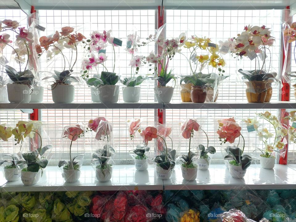Flowers vase store.
