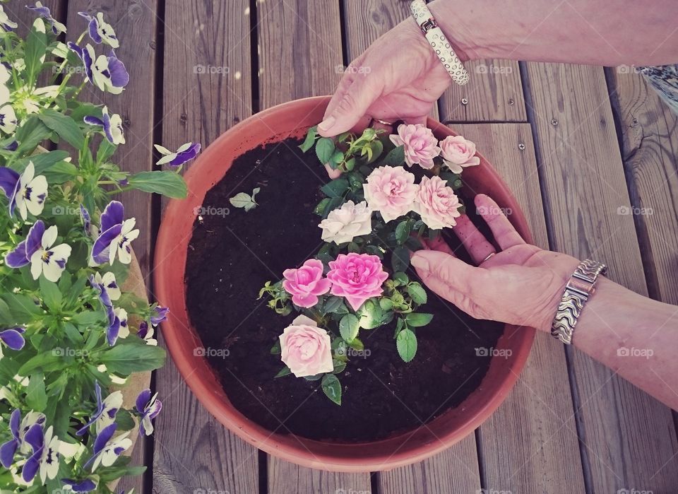 Urban gardening