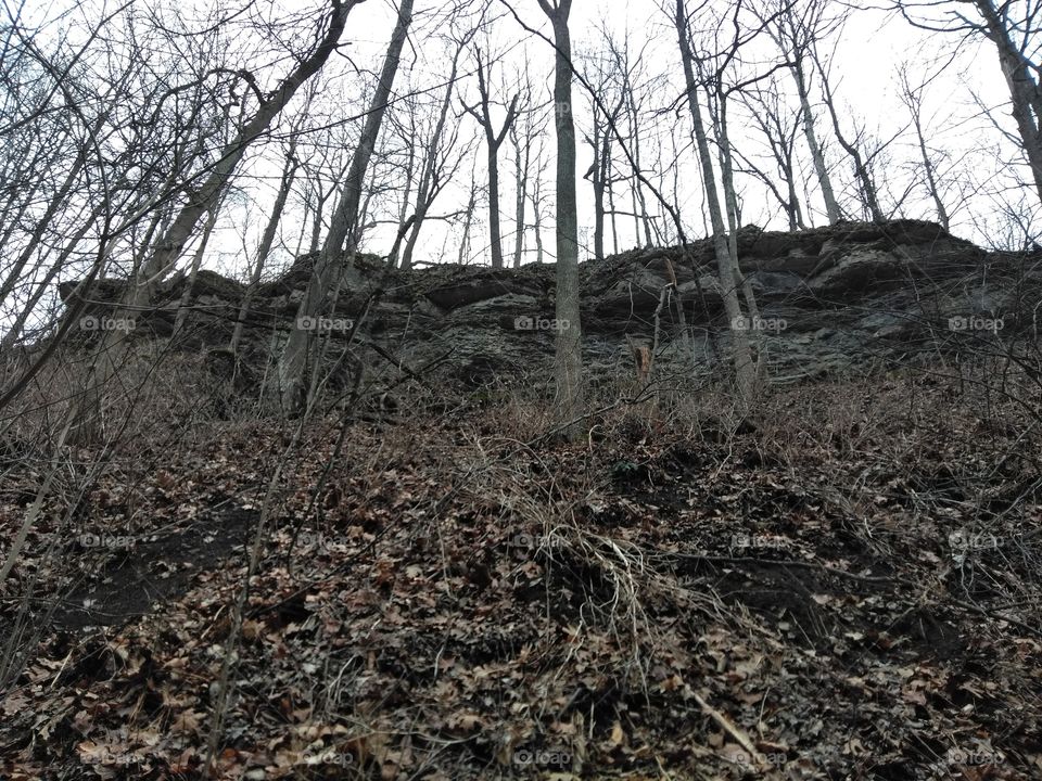 limestone hill