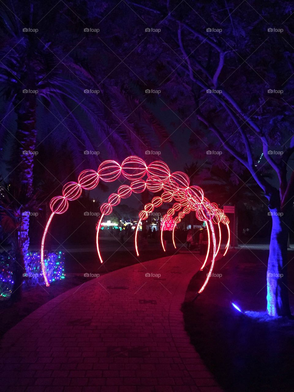 Dubai Glow Park